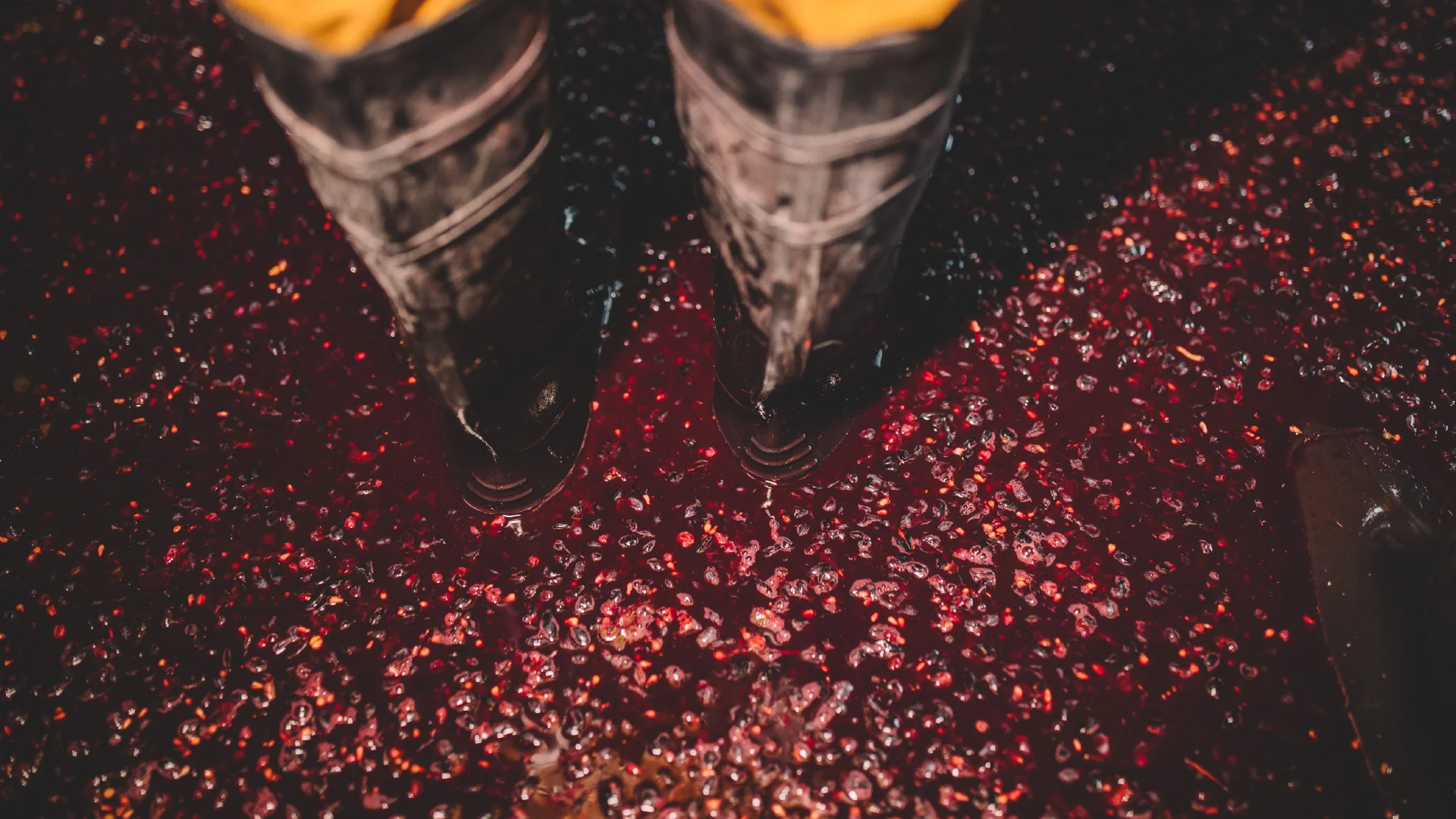 Projeto Vale do Bero da Nhdesign: Fotografia da pisa da uva para o vinho Vale do Bero