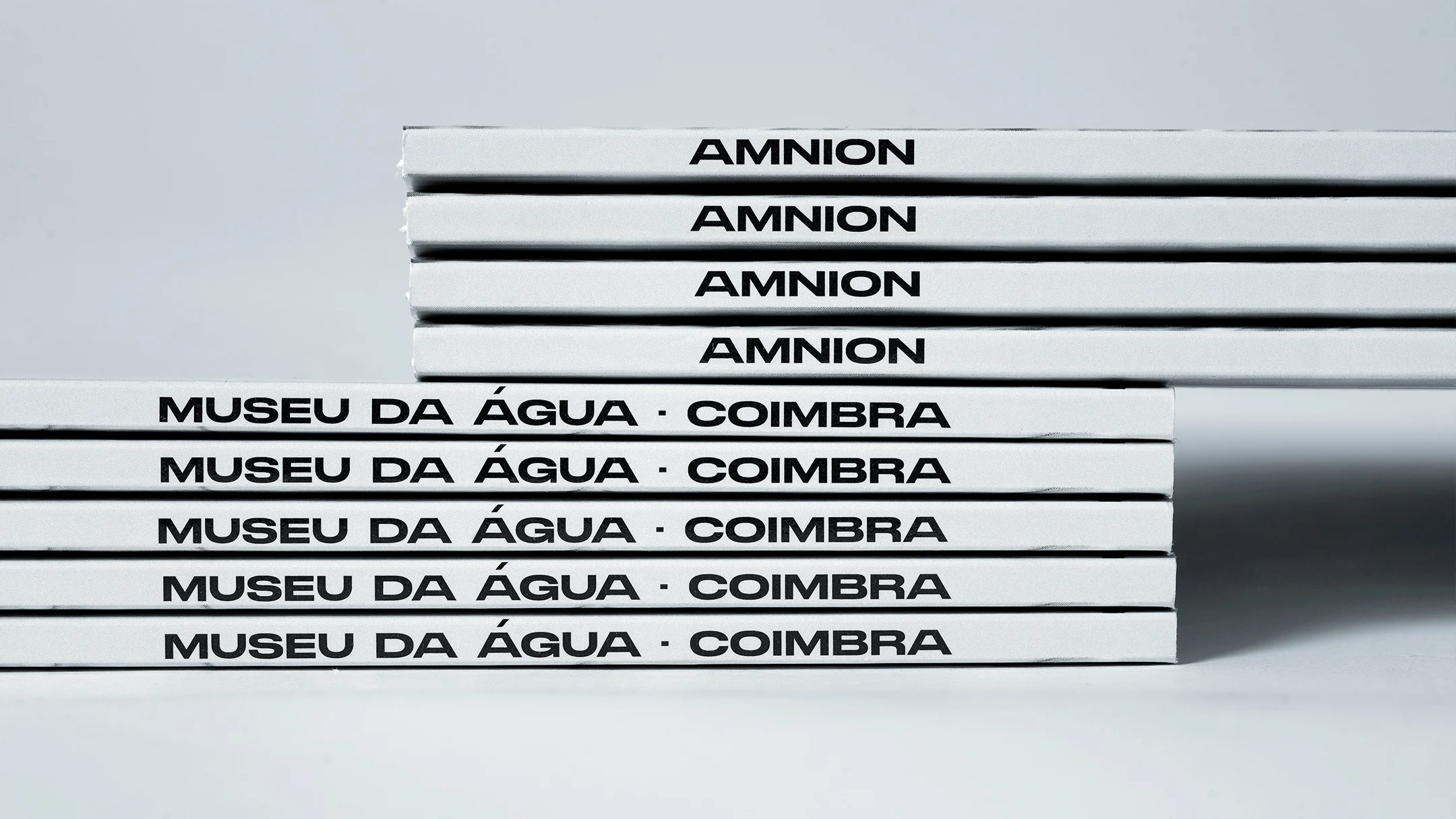 Projeto Amnion da Nhdesign: Lombada do catálogo Amnion